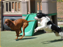 run